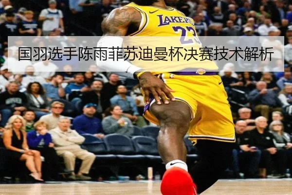 国羽选手陈雨菲苏迪曼杯决赛技术解析 | yabo